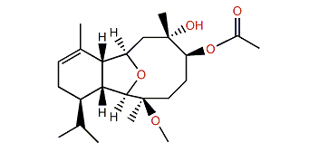 Sibogin B